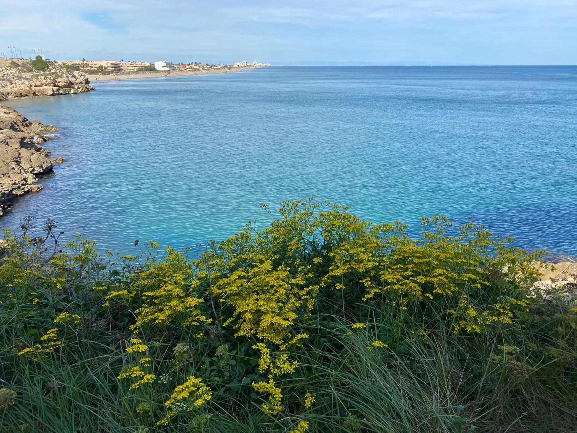 New Stylish Beach Front Apartment Cullera Eksteriør bilde