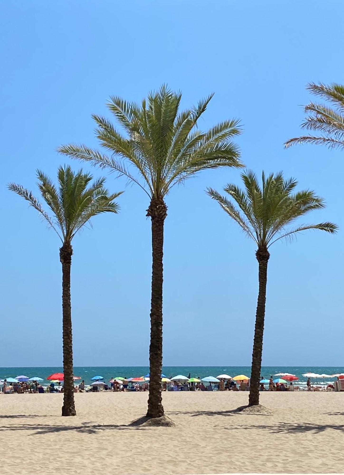New Stylish Beach Front Apartment Cullera Eksteriør bilde